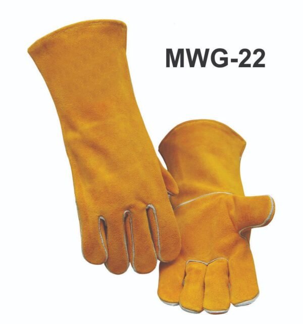 Premium leather belt